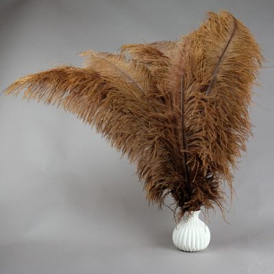 Bruine struisvogelveren | decoratieve veren | decoratie veren