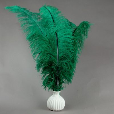 Struisvogelveren groen | decoratie veren